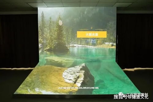 双倍一番榨 麒麟啤酒观光工厂的沉浸之旅